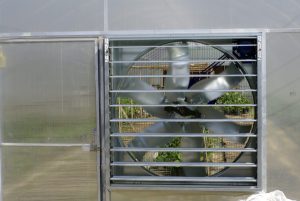 Poultry Farm Ventilation Fan